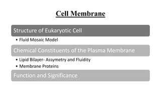 Cell Membrane
Structure of Eukaryotic Cell
• Fluid Mosaic Model
Chemical Constituents of the Plasma Membrane
• Lipid Bilayer- Assymetry and Fluidity
• Membrane Proteins
Function and Significance
 