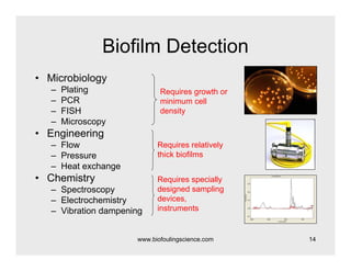 Intro To Biofilms | PDF