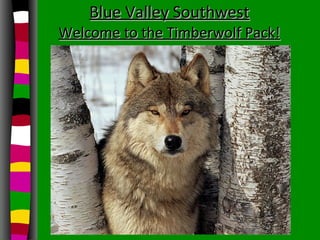 Blue Valley Southwest Welcome to the Timberwolf Pack! 