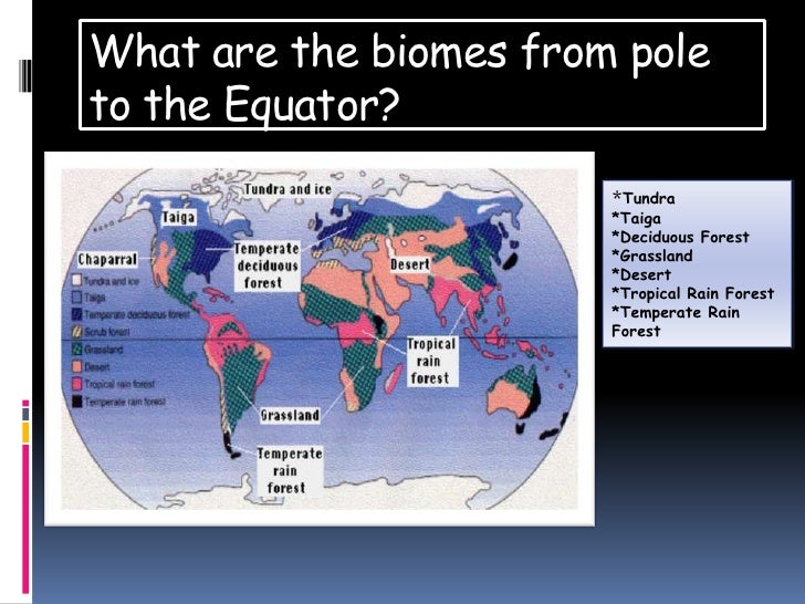 Intro To Biomes