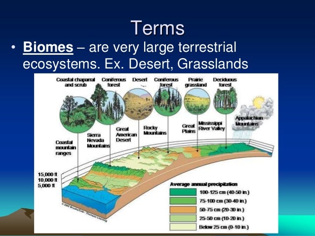 Intro to biomes