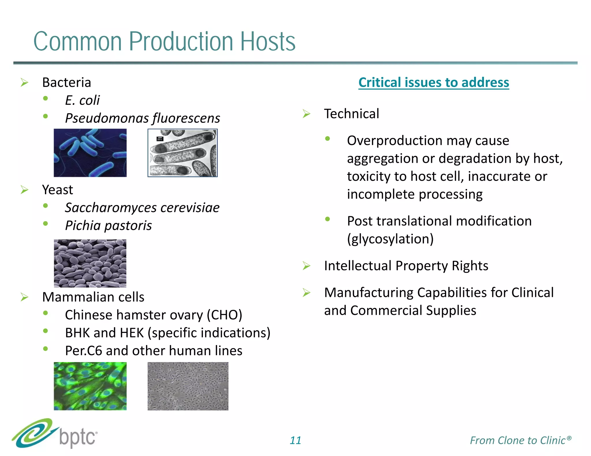 Common Production Hosts 
Critical issues to address 
 Technical 
• Overproduction may cause 
aggregation or degradation by host, 
toxicity to host cell, inaccurate or 
incomplete processing 
• Post translational modification 
(glycosylation) 
 Intellectual Property Rights 
 Manufacturing Capabilities for Clinical 
and Commercial Supplies 
 Bacteria 
• E. coli 
• Pseudomonas fluorescens 
 Yeast 
• Saccharomyces cerevisiae 
• Pichia pastoris 
 Mammalian cells 
• Chinese hamster ovary (CHO) 
• BHK and HEK (specific indications) 
• Per.C6 and other human lines 
11 From Clone to Clinic® 
 