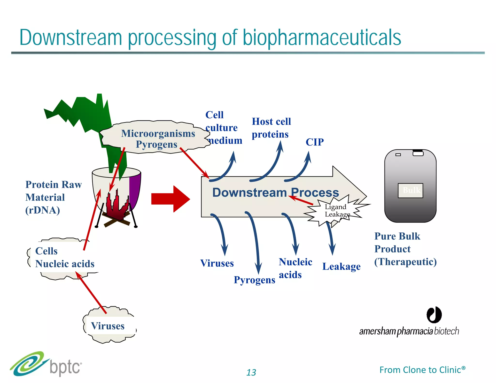Downstream processing of biopharmaceuticals 
Downstream Process Bulk 
Viruses 
Pyrogens 
Cells 
Nucleic acids 
Viruses 
Cell 
culture 
medium 
Host cell 
proteins 
CIP 
Nucleic 
acids 
Leakage 
Protein Raw 
Material 
(rDNA) 
Pure Bulk 
Product 
(Therapeutic) 
Ligand 
Leakage 
Microorganisms 
Pyrogens 
13 From Clone to Clinic® 
 