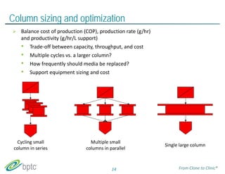 Column sizing and optimization 
 Balance cost of production (COP), production rate (g/hr) 
and productivity (g/hr/L support) 
• Trade‐off between capacity, throughput, and cost 
• Multiple cycles vs. a larger column? 
• How frequently should media be replaced? 
• Support equipment sizing and cost 
Cycling small 
column in series 
Multiple small 
columns in parallel Single large column 
14 From Clone to Clinic® 
 