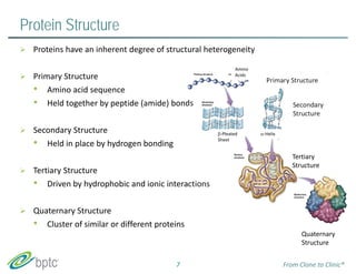 Protein Structure 
 Proteins have an inherent degree of structural heterogeneity 
 Primary Structure 
• Amino acid sequence 
• Held together by peptide (amide) bonds 
 Secondary Structure 
• Held in place by hydrogen bonding 
 Tertiary Structure 
• Driven by hydrophobic and ionic interactions 
 Quaternary Structure 
• Cluster of similar or different proteins 
Primary Structure 
Secondary 
Structure 
Tertiary 
Structure 
Quaternary 
Structure 
Amino 
Acids 
‐Pleated 
Sheet 
‐Helix 
7 From Clone to Clinic® 
 