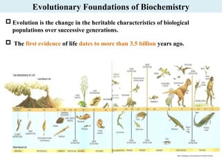 Intro to Biotech and Biochem hdhncjdkosk.pptx