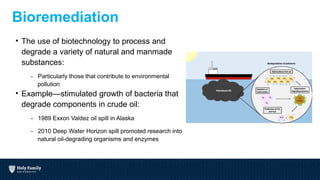 Intro to Biotechnology - The Biotech Century and it's Workforce | PPTX