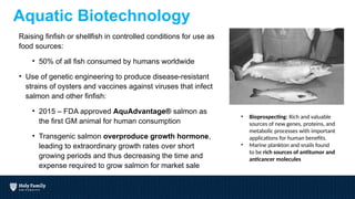 Intro to Biotechnology - The Biotech Century and it's Workforce | PPTX