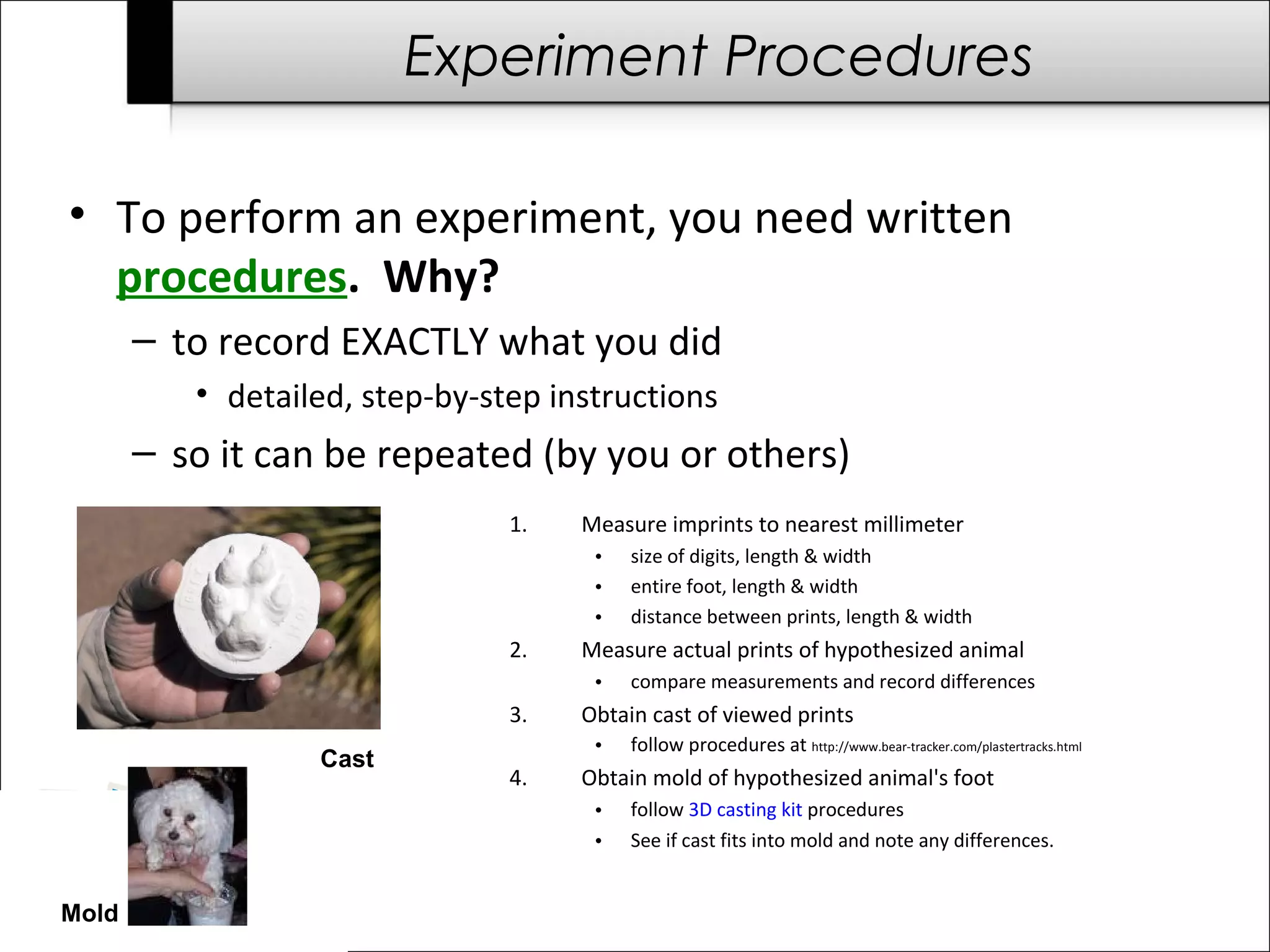 Experiment Procedures

• To perform an experiment, you need written
  procedures. Why?
       – to record EXACTLY what you did
          • detailed, step-by-step instructions
       – so it can be repeated (by you or others)
                                1.   Measure imprints to nearest millimeter
                                      •   size of digits, length & width
                                      •   entire foot, length & width
                                      •   distance between prints, length & width
                                2.   Measure actual prints of hypothesized animal
                                      •   compare measurements and record differences
                                3.   Obtain cast of viewed prints
                                      •   follow procedures at http://www.bear-tracker.com/plastertracks.html
                  Cast
                                4.   Obtain mold of hypothesized animal's foot
                                      •   follow 3D casting kit procedures
                                      •   See if cast fits into mold and note any differences.


Mold
 