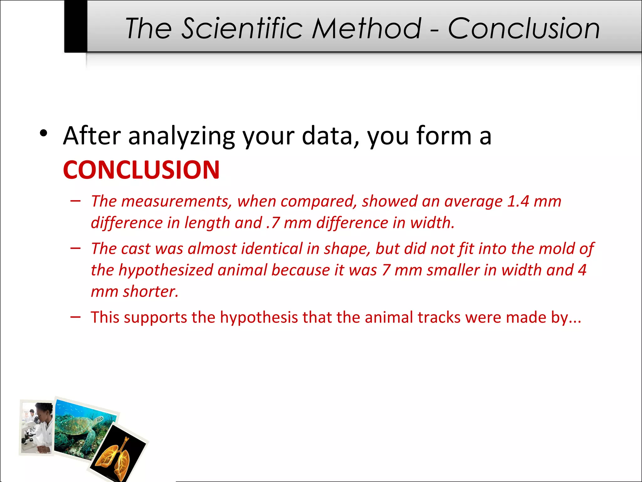 The Scientific Method - Conclusion


• After analyzing your data, you form a
  CONCLUSION
  – The measurements, when compared, showed an average 1.4 mm
    difference in length and .7 mm difference in width.
  – The cast was almost identical in shape, but did not fit into the mold of
    the hypothesized animal because it was 7 mm smaller in width and 4
    mm shorter.
  – This supports the hypothesis that the animal tracks were made by...
 
