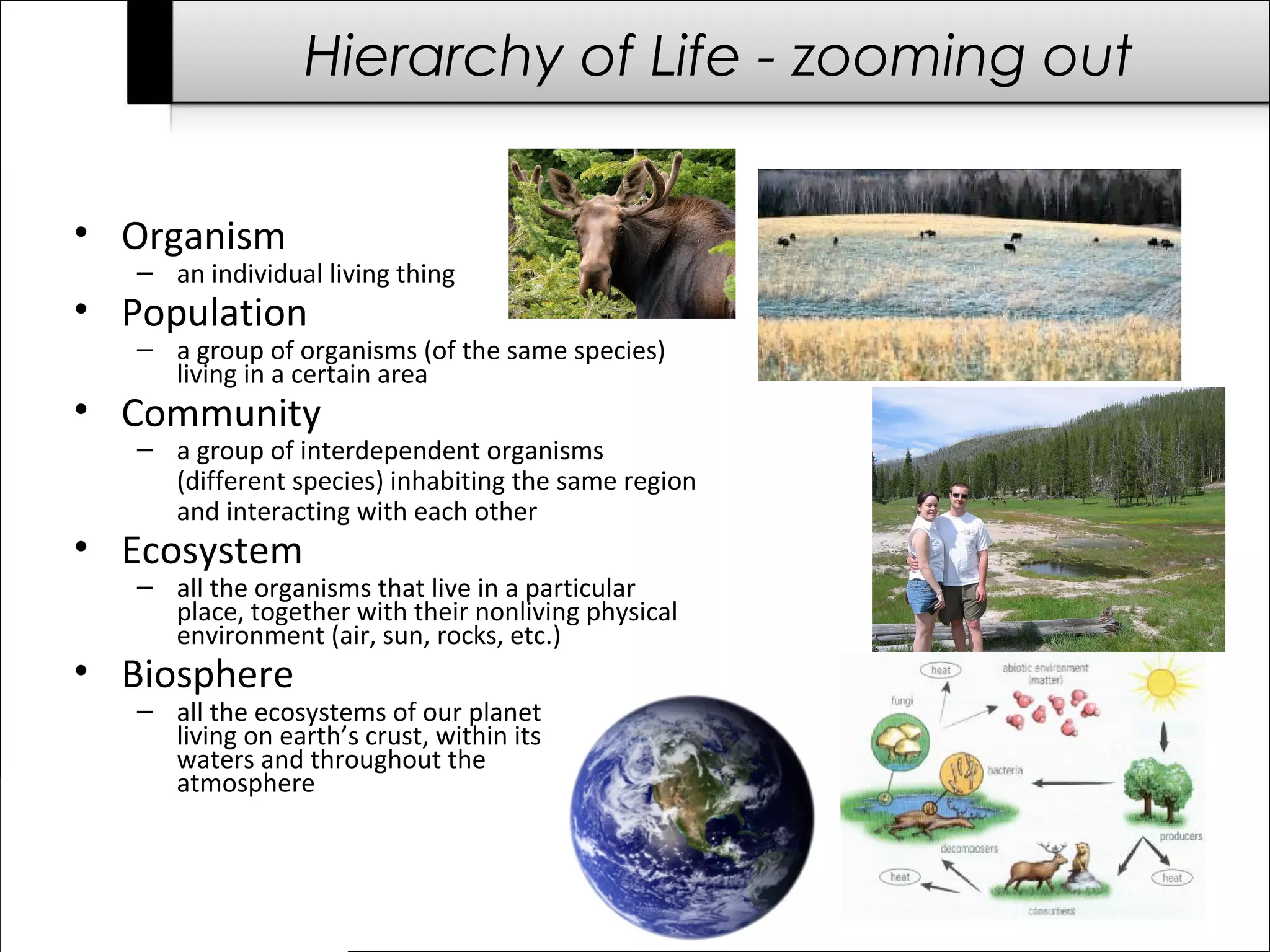 Hierarchy of Life - zooming out


• Organism
   – an individual living thing
• Population
   – a group of organisms (of the same species)
     living in a certain area
• Community
   – a group of interdependent organisms
     (different species) inhabiting the same region
     and interacting with each other
• Ecosystem
   – all the organisms that live in a particular
     place, together with their nonliving physical
     environment (air, sun, rocks, etc.)
• Biosphere
   – all the ecosystems of our planet
     living on earth’s crust, within its
     waters and throughout the
     atmosphere
 