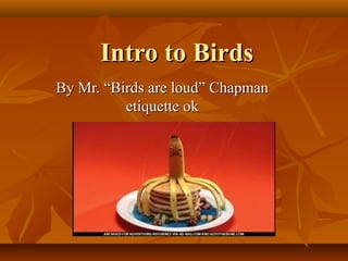 Intro to Birds
By Mr. “Birds are loud” Chapman
          etiquette ok
 