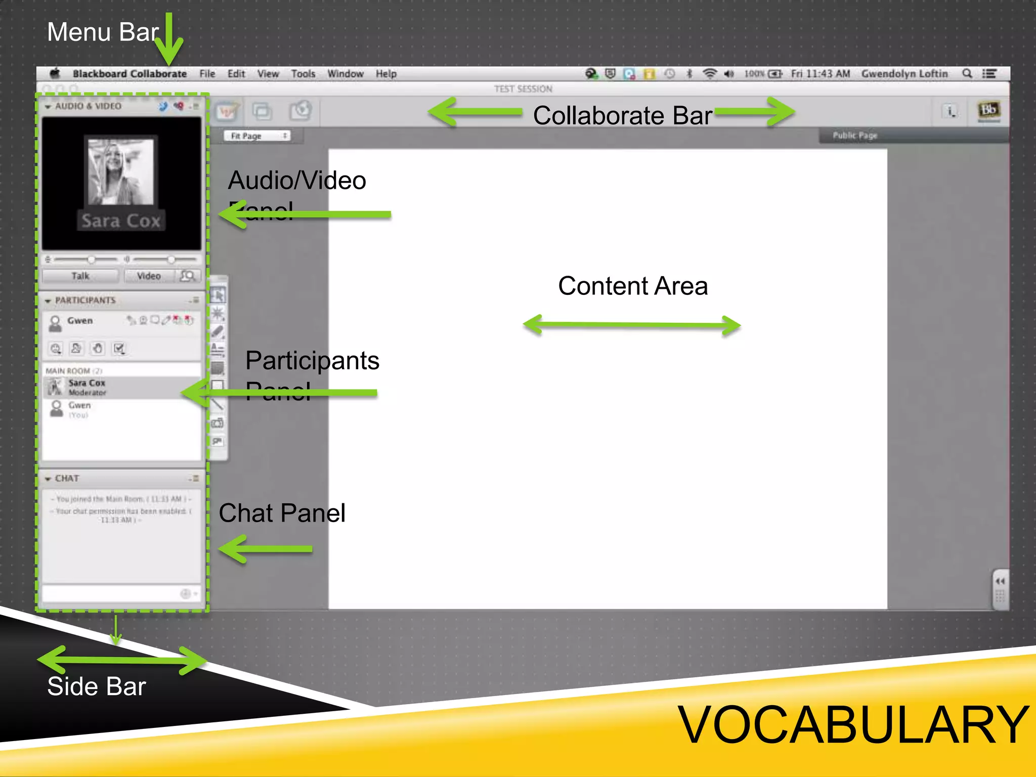 Menu Bar
Collaborate Bar
Audio/Video
Panel
Content Area

Participants
Panel

Chat Panel

Side Bar

VOCABULARY

 