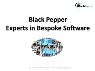 Black Pepper
Experts in Bespoke Software
For further information see our website: www.blackpepper.co.uk
 