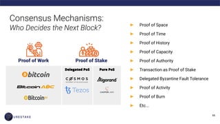 Proof of Work Proof of Stake
Consensus Mechanisms:
Who Decides the Next Block?
► Proof of Space
► Proof of Time
► Proof of History
► Proof of Capacity
► Proof of Authority
► Transaction as Proof of Stake
► Delegated Byzantine Fault Tolerance
► Proof of Activity
► Proof of Burn
► Etc...
 