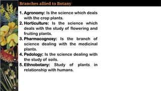 introduction to botany powerpoint presentation.pptx