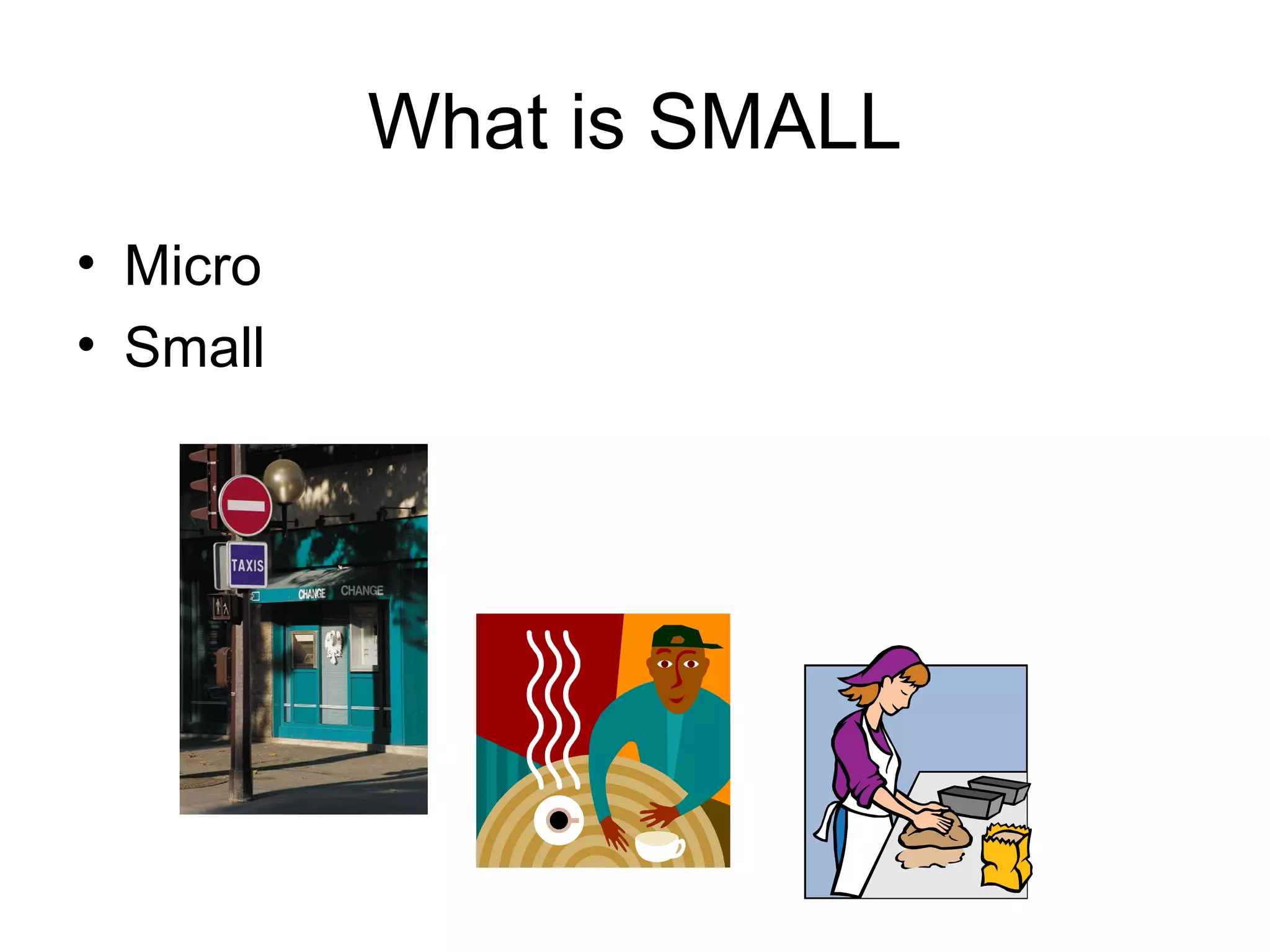 What is SMALL
• Micro
• Small

 