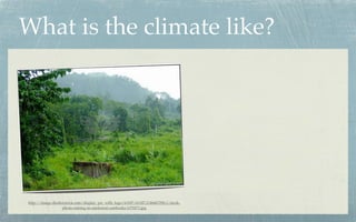 What is the climate like?




http://image.shutterstock.com/display_pic_with_logo/61187/61187,1144467296,1/stock-
                   photo-raining-in-rainforest-cambodia-1179271.jpg
 