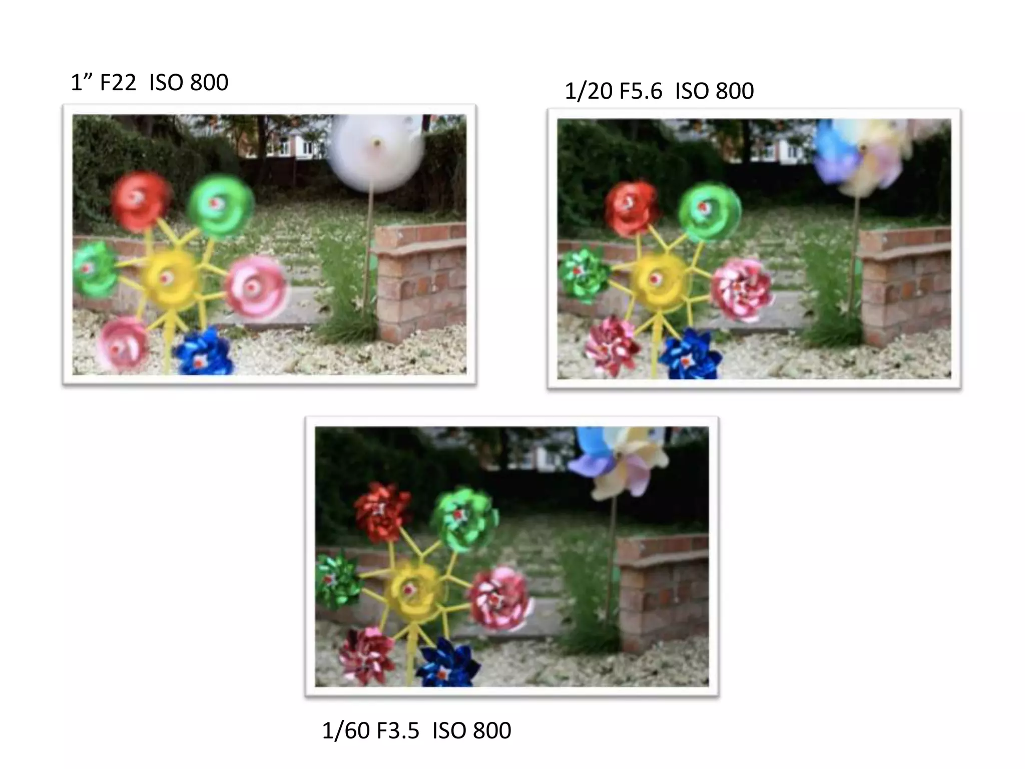 1” F22 ISO 800
1/20 F5.6 ISO 800
1/60 F3.5 ISO 800