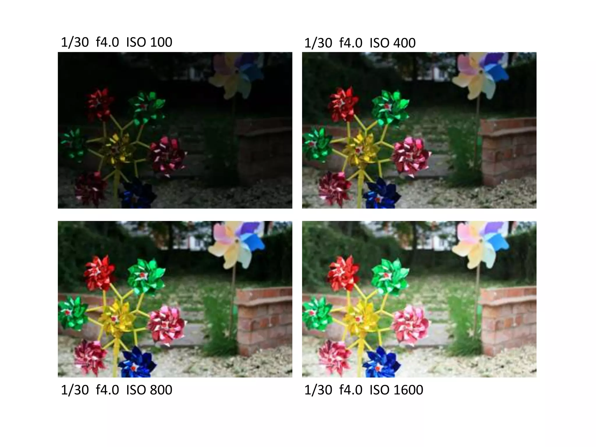 1/30 f4.0 ISO 100
1/30 f4.0 ISO 400
1/30 f4.0 ISO 800
1/30 f4.0 ISO 1600