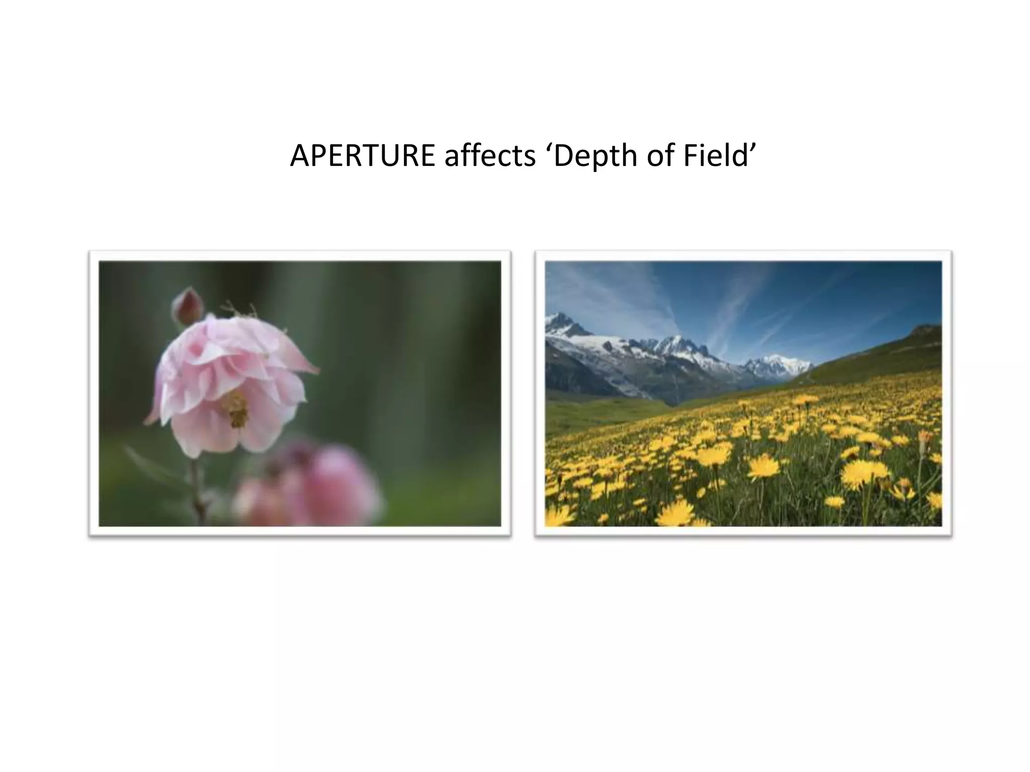 APERTURE affects ‘Depth of Field’