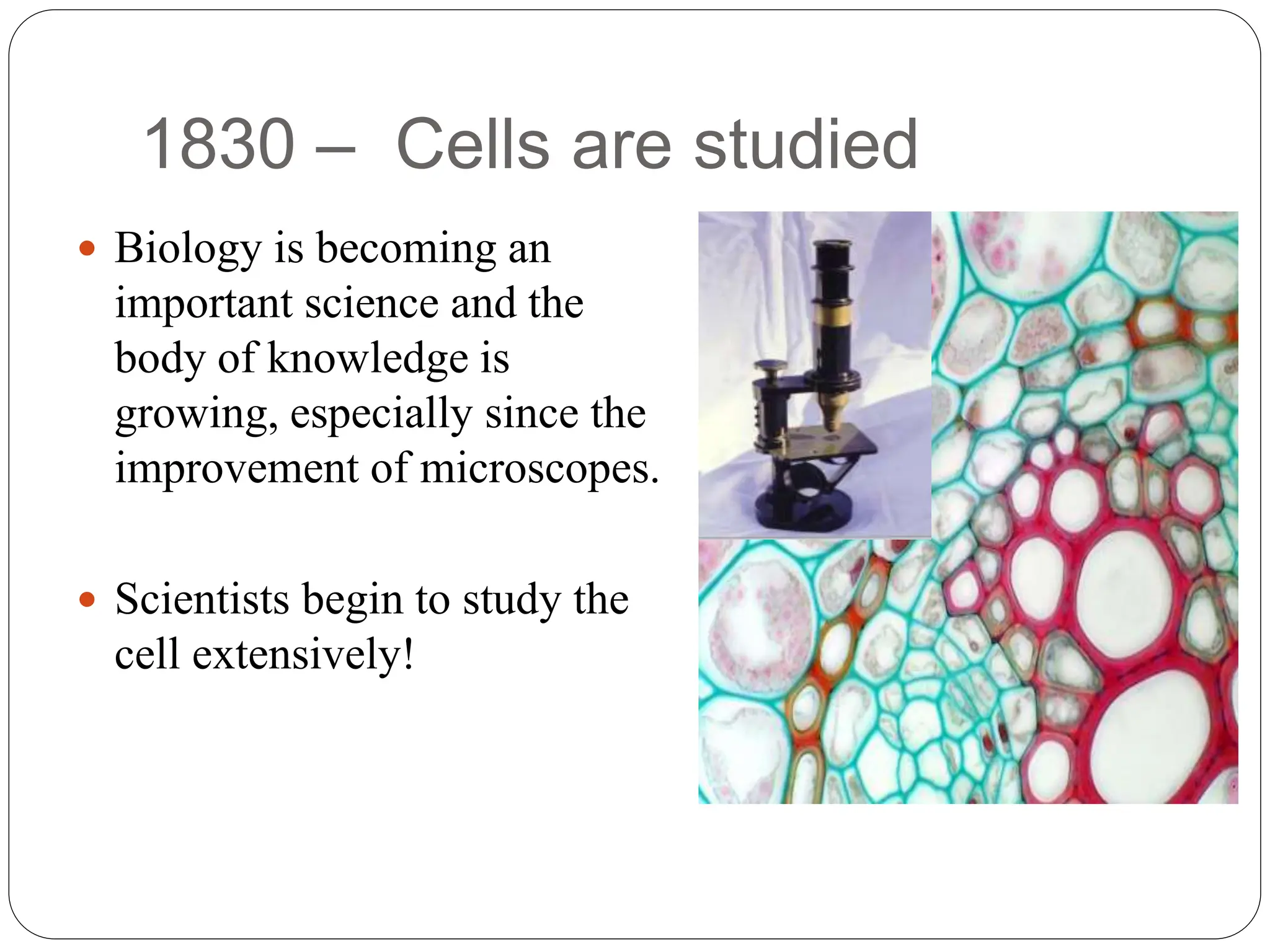 1830 – Cells are studied
 Biology is becoming an
important science and the
body of knowledge is
growing, especially since the
improvement of microscopes.
 Scientists begin to study the
cell extensively!
 