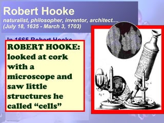 Intro to cells | PPT