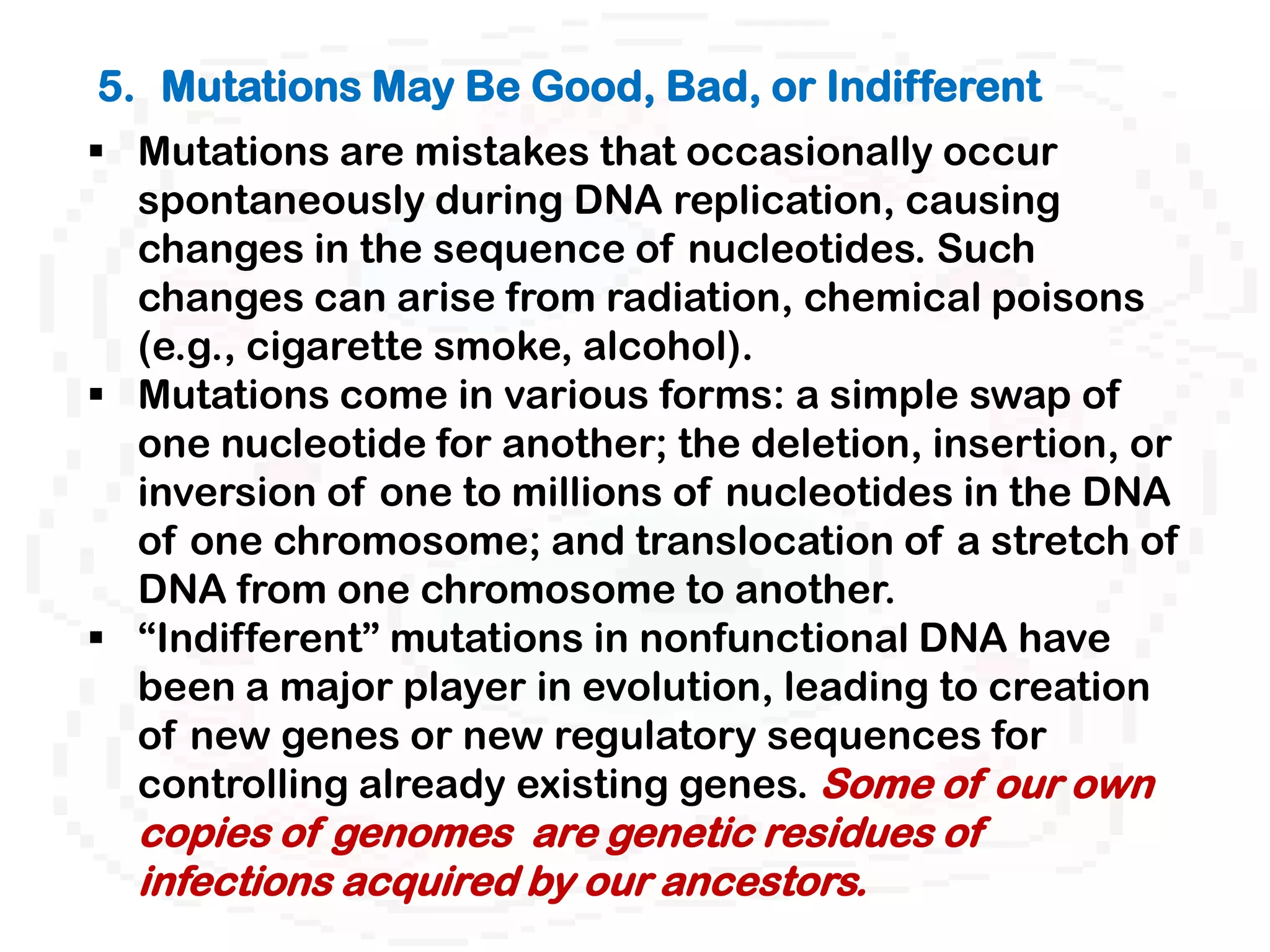 5. Mutations May Be Good, Bad, or Indifferent
 Mutations are mistakes that occasionally occur
  spontaneously during DNA replication, causing
  changes in the sequence of nucleotides. Such
  changes can arise from radiation, chemical poisons
  (e.g., cigarette smoke, alcohol).
 Mutations come in various forms: a simple swap of
  one nucleotide for another; the deletion, insertion, or
  inversion of one to millions of nucleotides in the DNA
  of one chromosome; and translocation of a stretch of
  DNA from one chromosome to another.
 “Indifferent” mutations in nonfunctional DNA have
  been a major player in evolution, leading to creation
  of new genes or new regulatory sequences for
  controlling already existing genes. Some of our own
  copies of genomes are genetic residues of
  infections acquired by our ancestors.
 