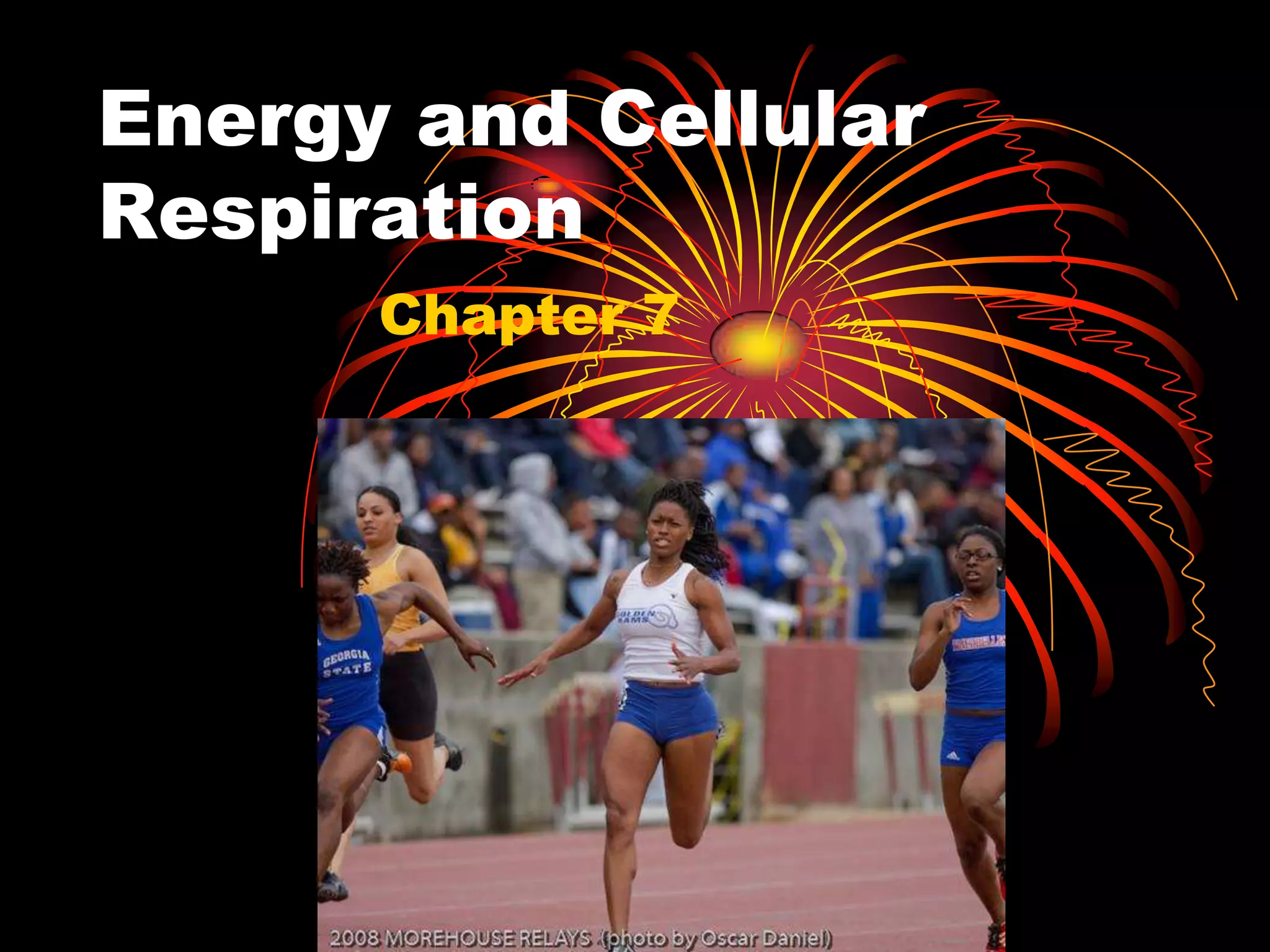 Energy and Cellular RespirationChapter 7
