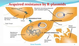 16
Gene Transfer
Acquired resistance by R-plasmids
Staph, Strepto
 