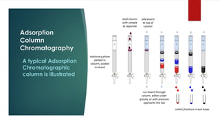 Introduction to chromatography | PDF