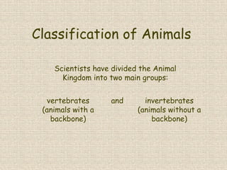Classification of Animals
Scientists have divided the Animal
Kingdom into two main groups:
vertebrates
(animals with a
backbone)
invertebrates
(animals without a
backbone)
and
 