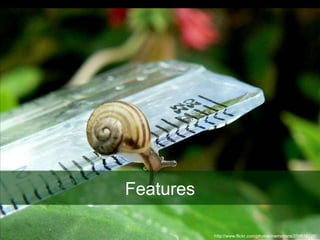 Features http://www.flickr.com/photos/memotions/259656126/ 