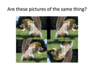 Are	
  these	
  pictures	
  of	
  the	
  same	
  thing?	
  
 