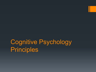 Cognitive Psychology 
Principles 
 