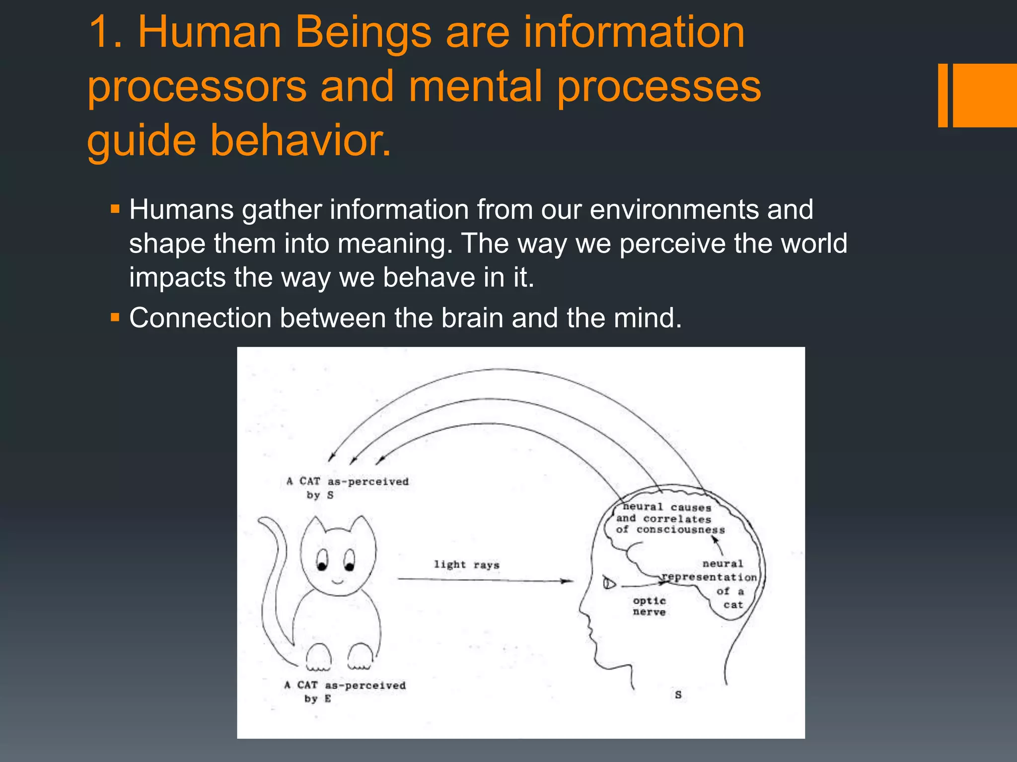 1. Human Beings are information
processors and mental processes
guide behavior.
 Humans gather information from our environments and
shape them into meaning. The way we perceive the world
impacts the way we behave in it.
 Connection between the brain and the mind.
 
