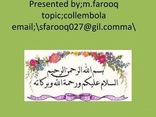 Presented by;m.farooq
topic;collembola
email;sfarooq027@gil.comma
1
 