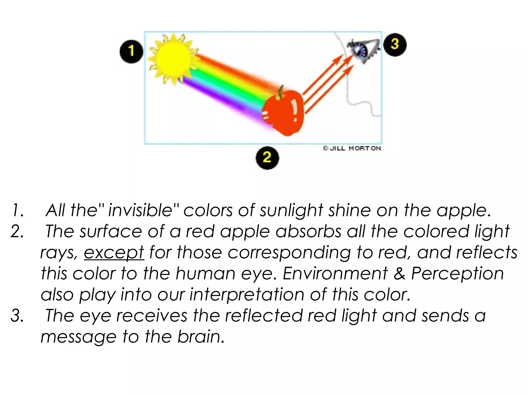 1. All the" invisible" colors of sunlight shine on the apple.
2. The surface of a red apple absorbs all the colored light
rays, except for those corresponding to red, and reflects
this color to the human eye. Environment & Perception
also play into our interpretation of this color.
3. The eye receives the reflected red light and sends a
message to the brain.
 