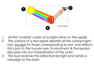 1. All the" invisible" colors of sunlight shine on the apple.
2. The surface of a red apple absorbs all the colored light
rays, except for those corresponding to red, and reflects
this color to the human eye. Environment & Perception
also play into our interpretation of this color.
3. The eye receives the reflected red light and sends a
message to the brain.
 