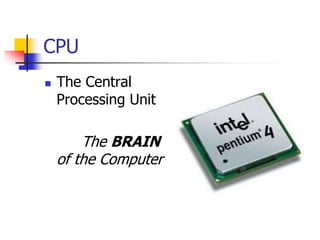 CPU
 The Central
Processing Unit
The BRAIN
of the Computer
 