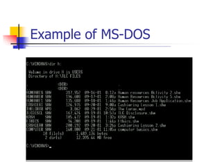 Example of MS-DOS
 
