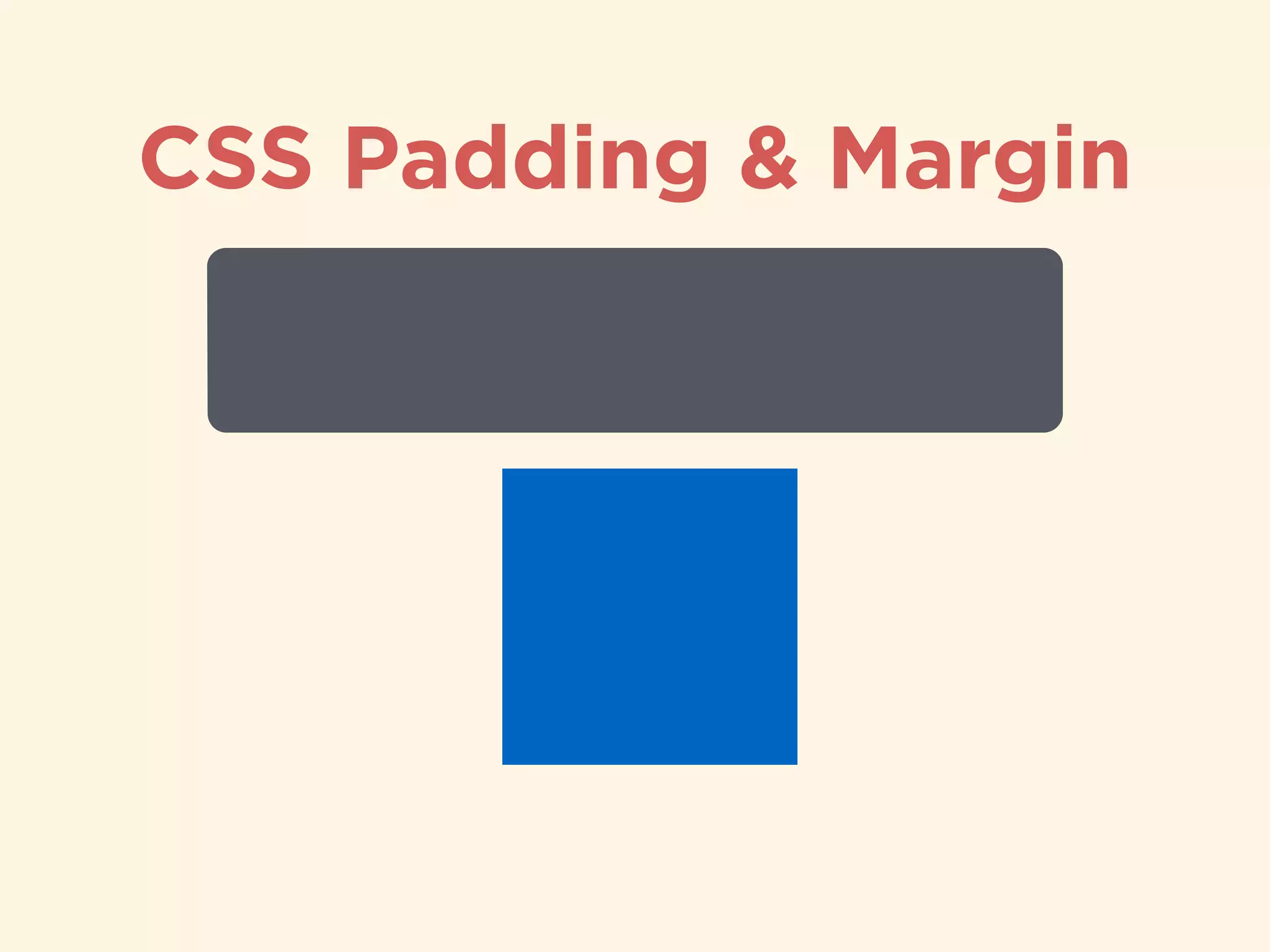 CSS Padding & Margin
 