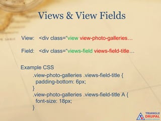 Views & View Fields

View: <div class=“view view-photo-galleries…

Field: <div class=“views-field views-field-title…


Example CSS
    .view-photo-galleries .views-field-title {
      padding-bottom: 6px;
    }
    .view-photo-galleries .views-field-title A {
      font-size: 18px;
    }
 