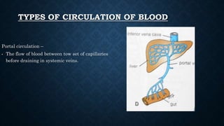 TYPES OF CIRCULATION OF BLOOD
Portal circulation –
• The flow of blood between tow set of capillaries
before draining in systemic veins.
 
