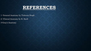 REFERENCES
1- General Anatomy by Vishram Singh
2- Clinical Anatomy by R. Snell
3-Gray’s Anatomy
 