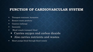 FUNCTION OF CARDIOVASCULAR SYSTEM
 Transport nutrients, hormones
 Remove waste products
 Gaseous exchange
 Immunity
 Blood vessels transport blood
 Carries oxygen and carbon dioxide
 Also carries nutrients and wastes
 Heart pumps blood through blood vessels
 