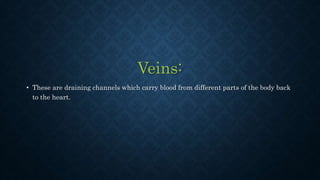 Veins:
• These are draining channels which carry blood from different parts of the body back
to the heart.
 