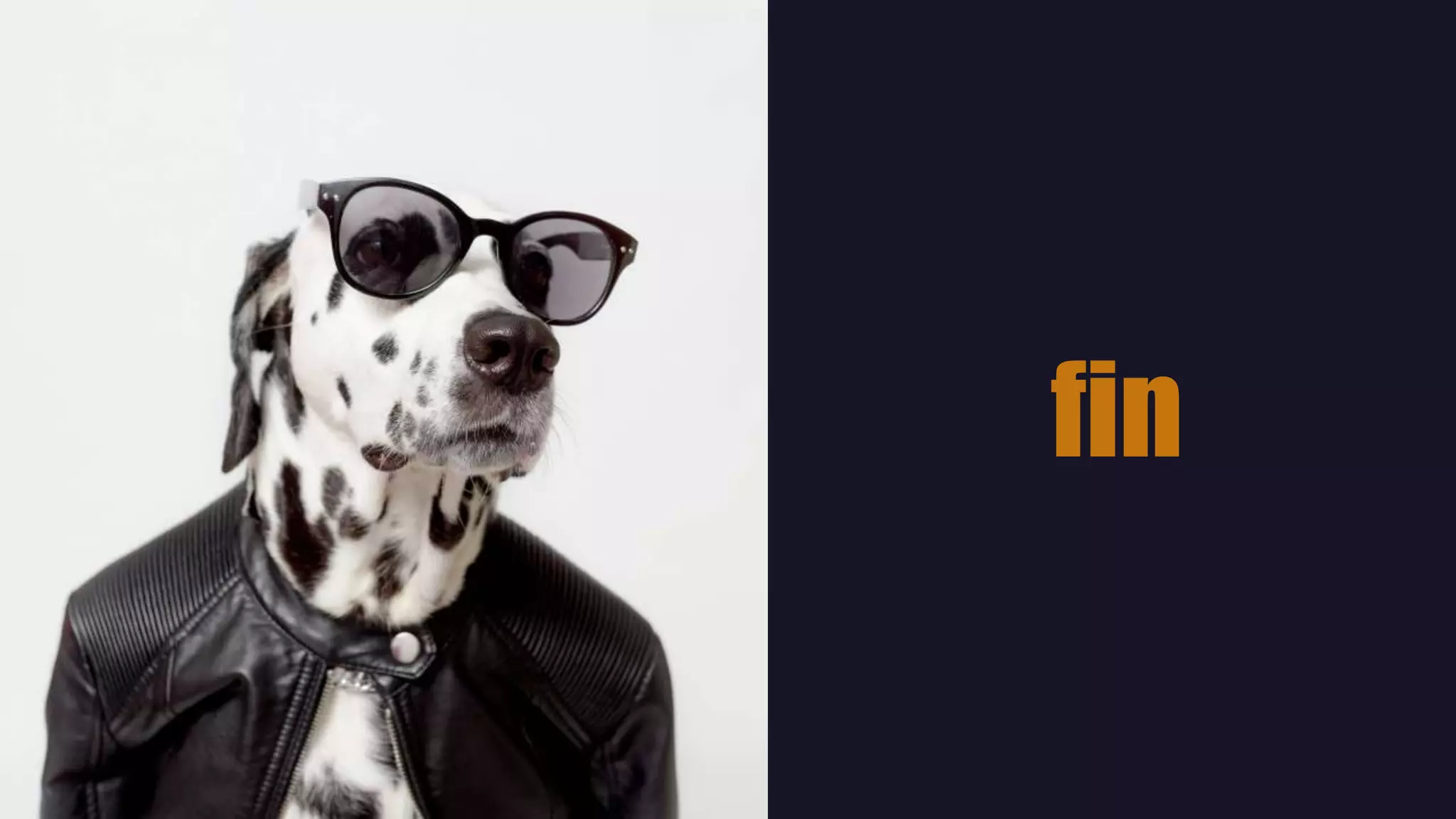 fin
 