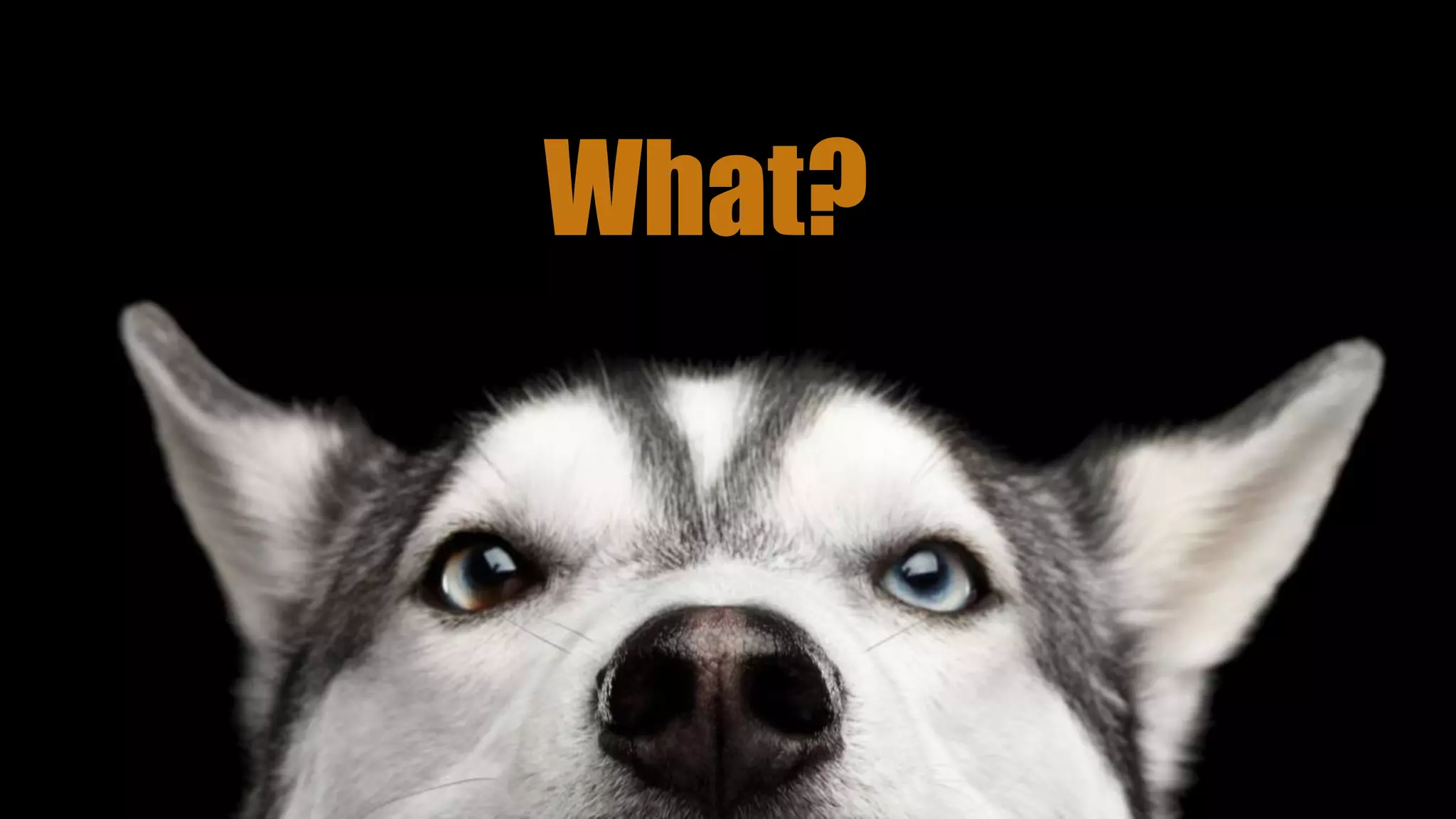 What?
 