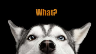 What?
 